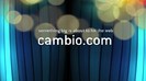 CAMBIO 1338