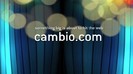 CAMBIO 1343
