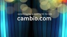 CAMBIO 1347