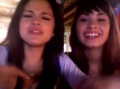 demi and selena response!! 881