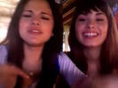 demi and selena response!! 882