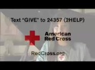 Demi Lovato - American Red Cross - PSA 1 319
