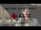 Demi Lovato - American Red Cross - PSA 2 240