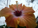 P1110560