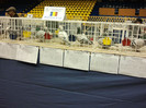 2012-02-10 18.20.54