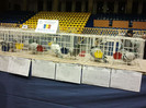 2012-02-10 18.21.05