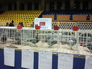 2012-02-10 19.49.06
