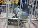 2012-02-10 19.55.50