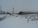 DSC02915