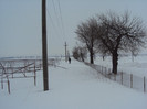 DSC02916