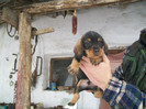 12 02 2012 010