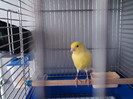 DSC01788