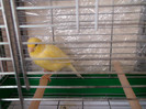 DSC01811
