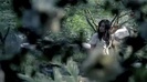 Demi Lovato - Gift Of A Friend - Official Music Video 675
