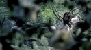 Demi Lovato - Gift Of A Friend - Official Music Video 682