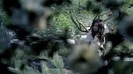 Demi Lovato - Gift Of A Friend - Official Music Video 694