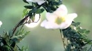 Demi Lovato - Gift Of A Friend - Official Music Video 698