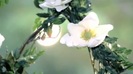 Demi Lovato - Gift Of A Friend - Official Music Video 702