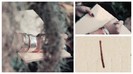 Demi Lovato - Give Your Heart A Break (Lyric video) 097