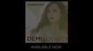 Demi Lovato - Live in New York! 385