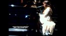 Demi Lovato - Skyscraper (Live in New York - fan video) 1067