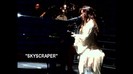 Demi Lovato - Skyscraper (Live in New York - fan video) 1098