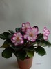 DSCN6893