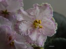 DSCN6905