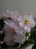DSCN6907