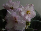 DSCN6902