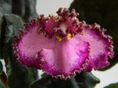 DSCN6921