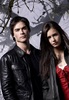 Elena & Damon (5)