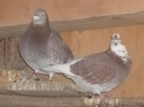 DSC01107