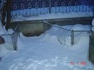 poze 044
