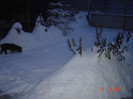 poze 049