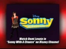 Demi Lovato - Summer Tour 2009 083