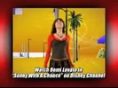 Demi Lovato - Summer Tour 2009 085