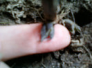 14 febr 2012 063