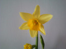 14 febr 2012 069