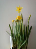 14 febr 2012 068
