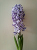 14 febr 2012 075