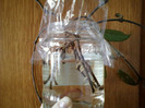 14 febr 2012 048