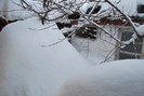 iarna 2012 014