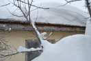 iarna 2012 015