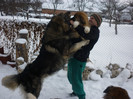 Baltag si Bandit(tatal)
