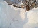 DSC02028