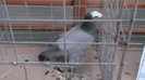 IMGA0536