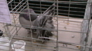 IMGA0564
