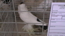 IMGA0573