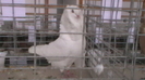 IMGA0579